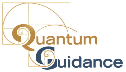 Quantum Guidance